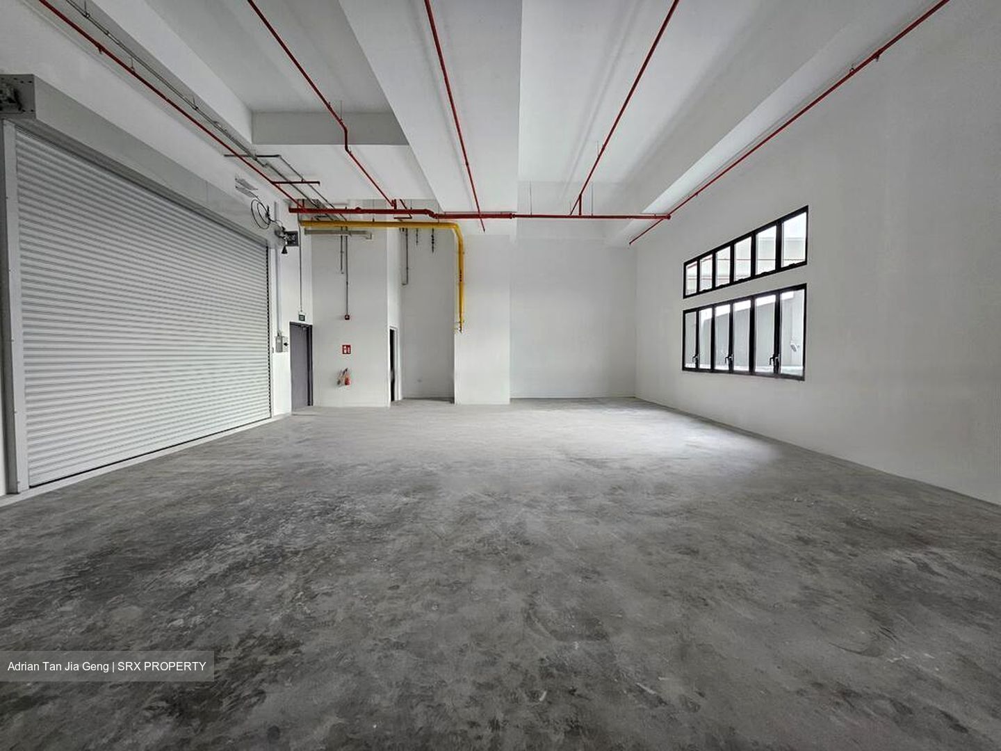 Ct Foodnex (D25), Factory #480263771